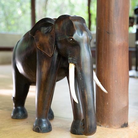 Kaala Kalaththewa Luxury Eco Resort Anuradhapura Exterior foto